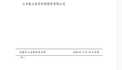 2024管家婆精准资料